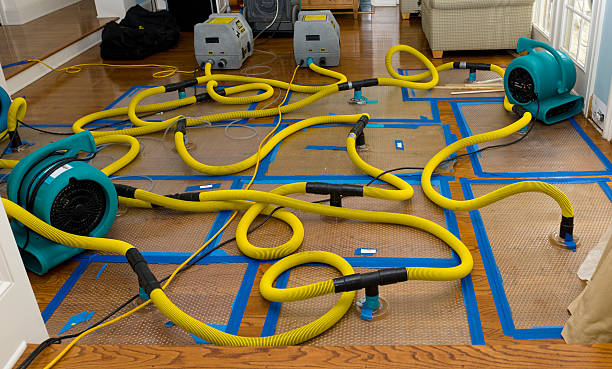 Professional Crawl Space Water Removal technician working in Del Rio, TN